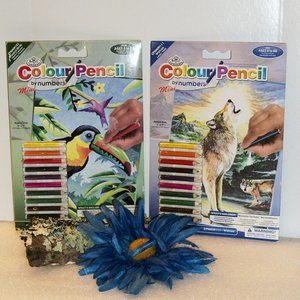2 Royal & Langnickel Colour Pencil by Number Kits